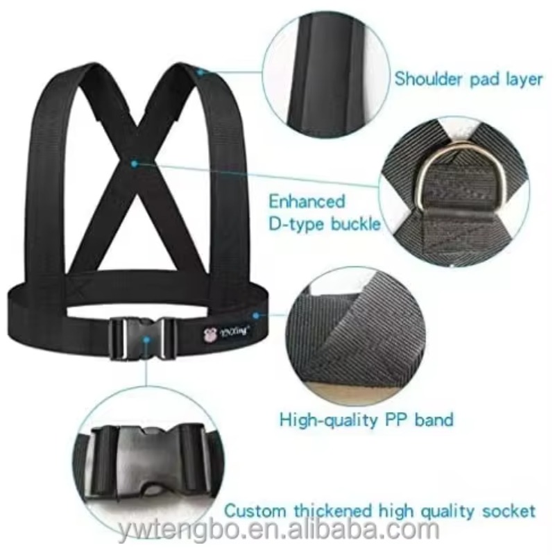 Dubbele weerstand latex trekko - Resistance Bands recensie en prijs